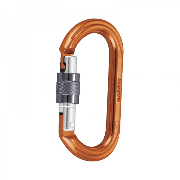 Carabiniera Wall Oval Mammut - AlpinMag