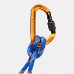 Carabiniera Mammut Sender Screwgate