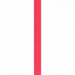 Coarda Beal Joker Golden Dry 60m