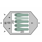 Cort Pinguin Tornado 4