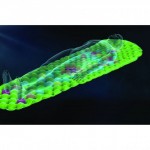 Saltea Sea to Summit Comfort Light Insulated